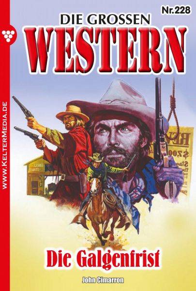 Die großen Western 228