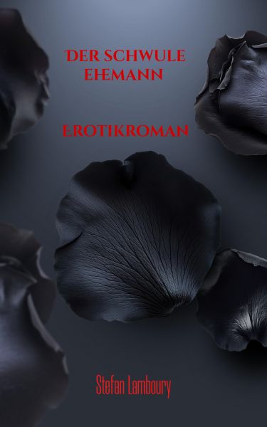 Der schwule Ehemann