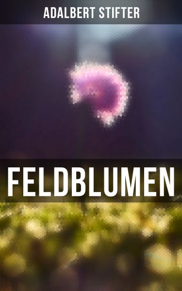 Feldblumen