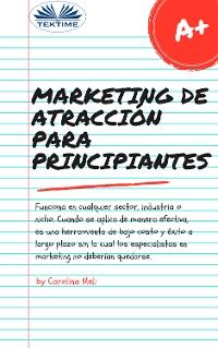 Marketing De Atracción Para Principiantes