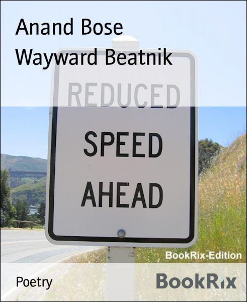 Wayward Beatnik