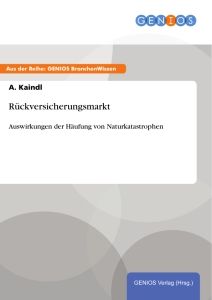 Rückversicherungsmarkt