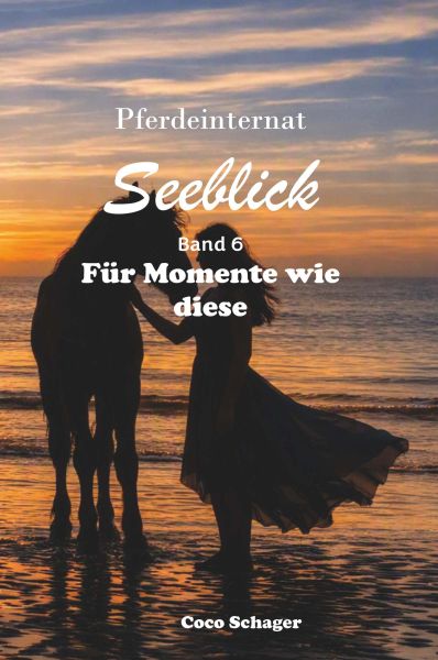 Pferdeinternat Seeblick Band 6