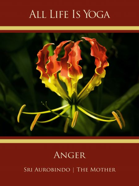 All Life Is Yoga: Anger