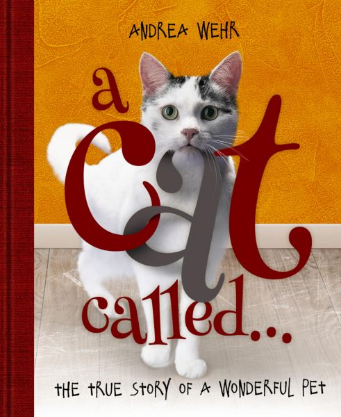 A Cat Called ...