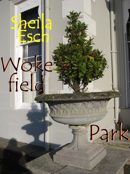 Wokefield Park