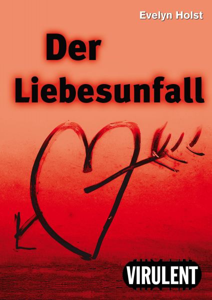 Cover Evelyn Hoist: Der Liebesunfall