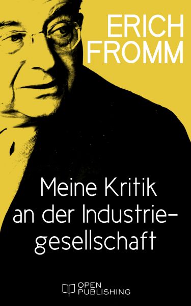 Meine Kritik an der Industriegesellschaft