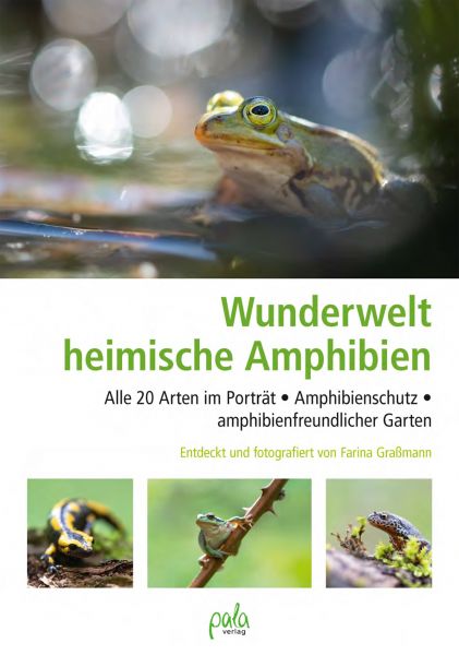 Wunderwelt heimische Amphibien
