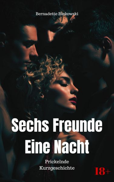 Sechs Freunde - Eine Nacht