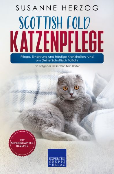 Scottish Fold Katzenpflege – Pflege, Ernährung und häufige Krankheiten rund um Deine Schottisch Falt