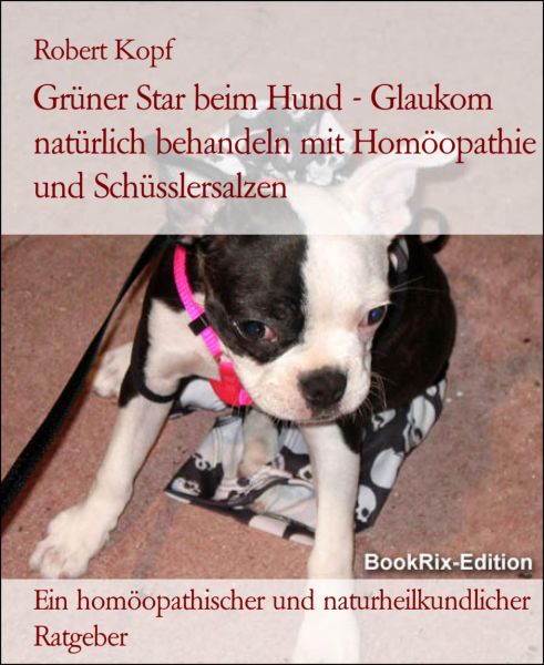 Grüner Star beim Hund - Glaukom natürlich behandeln mit Homöopathie und Schüsslersalzen