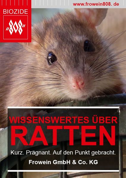 Wissenswertes über Ratten