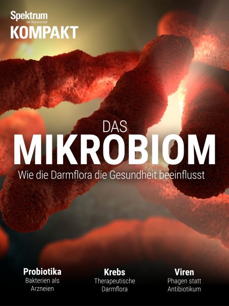 Spektrum Kompakt - Mikrobiom 2