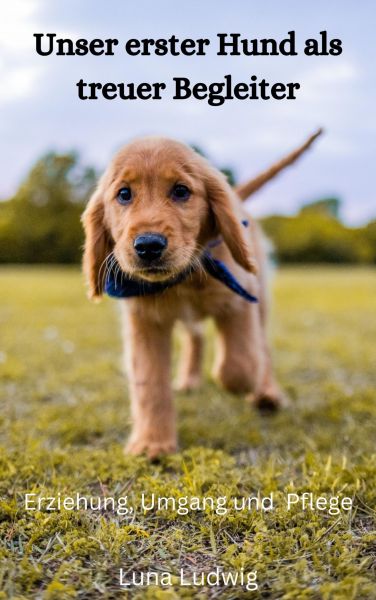 Mein erster Hund als treuer Begleiter