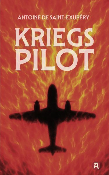 Kriegspilot. Ein autobiografisch-philosophischer Bericht