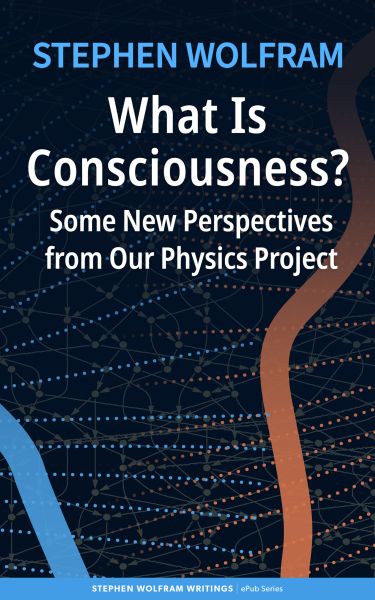 What Is Consciousness?