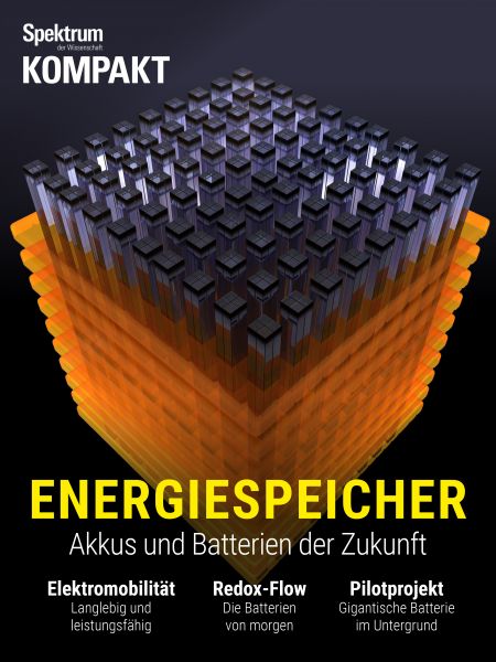 Spektrum Kompakt - Energiespeicher