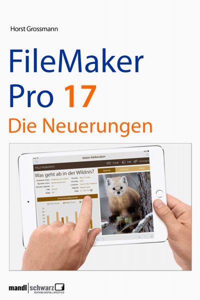 FileMaker Pro 17