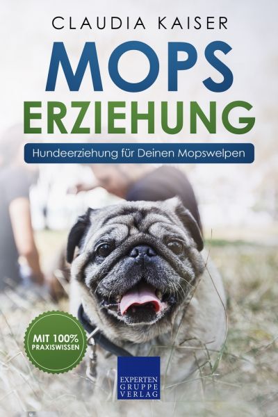 Mops Erziehung