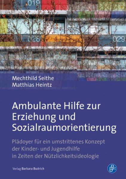 Ambulante Hilfe zur Erziehung und Sozialraumorientierung