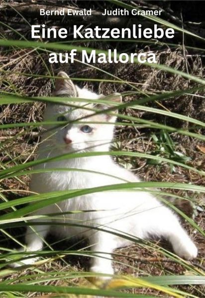Eine Katzenliebe auf Mallorca