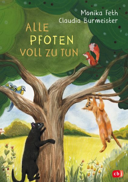 Feth M.,Kater 03-Alle Pfoten voll zu tun