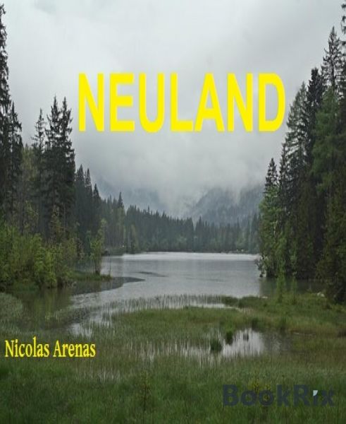 NEULAND