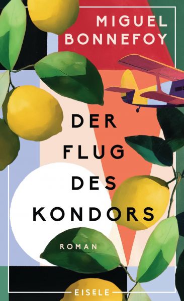 Der Flug des Kondors