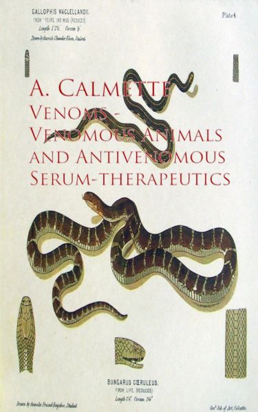 Venoms - Venomous Animals and Antivenomous Serum-Therapeutics