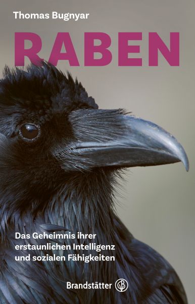 Raben