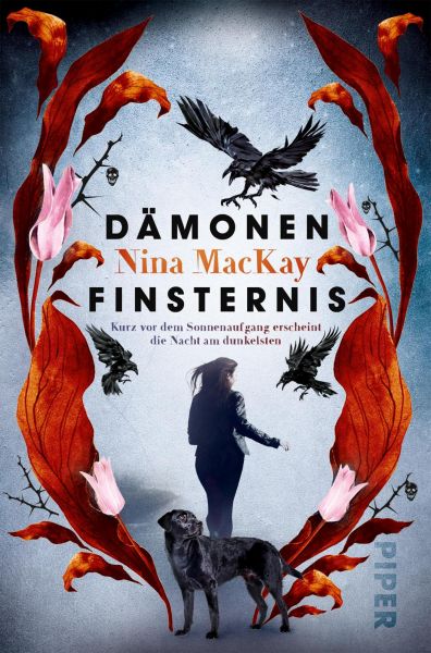 Cover Nina MacKay: Dämonenfinsternis