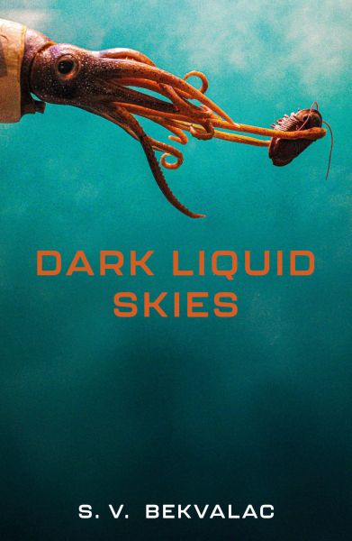 Dark Liquid Skies