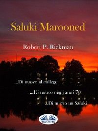 Saluki Marooned