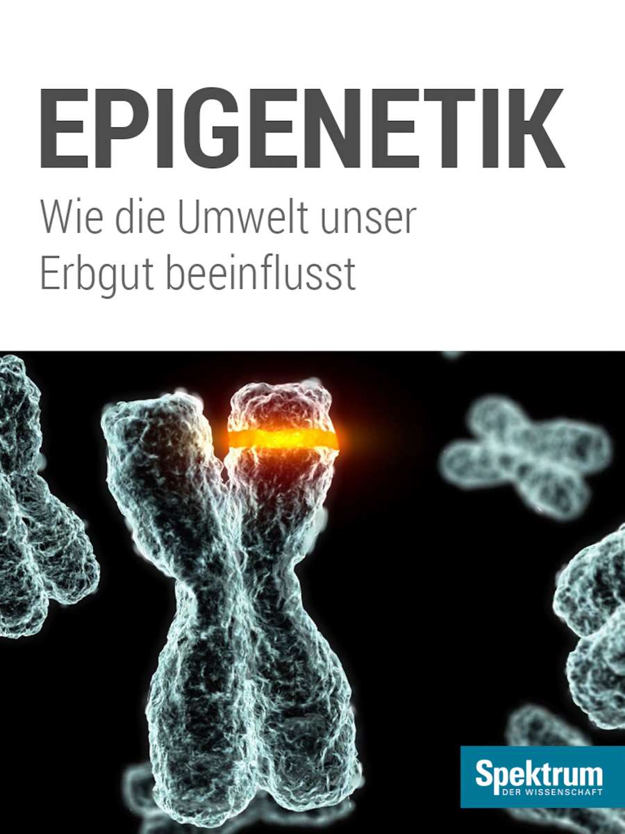 Epigenetik Leicht Erklärt Für Kinder Spektrum Kompakt - Epigenetik (, - Spektrum der Wissenschaft)