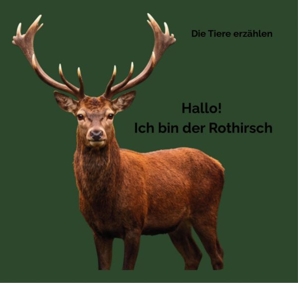 Hallo! Ich bin der Rothirsch