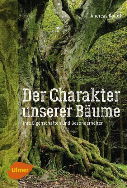 Der Charakter unserer Bäume