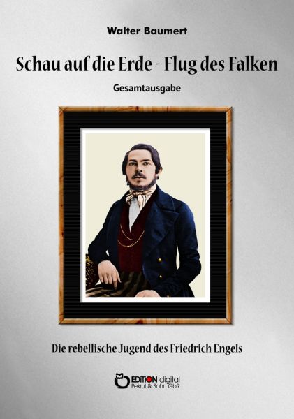 Schau auf die Erde – Der Flug des Falken. Gesamtausgabe