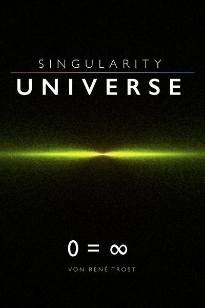 Singularity Universe