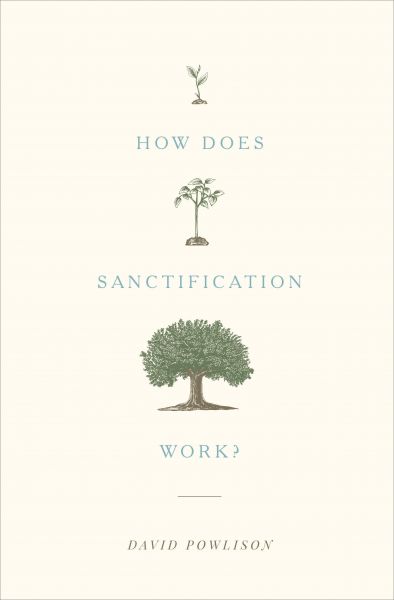 How Does Sanctification Work?