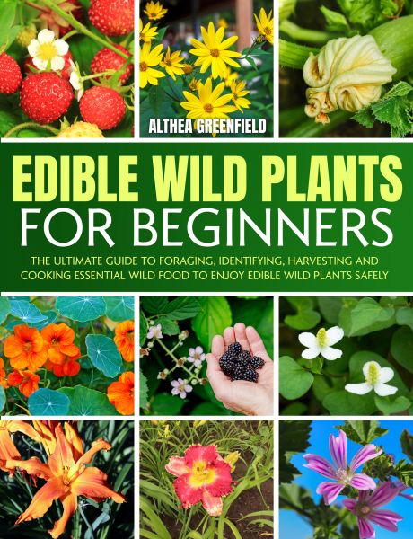 The Complete Guide To Edible Wild Plants For Beginners