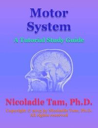 Motor System: A Tutorial Study Guide