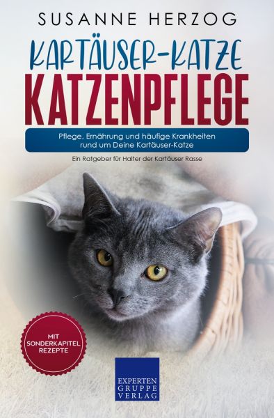 Kartäuser-Katze Katzenpflege – Pflege, Ernährung und häufige Krankheiten rund um Deine Kartäuser-Kat