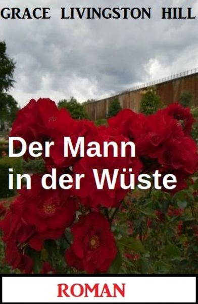 Der Mann in der Wüste: Roman