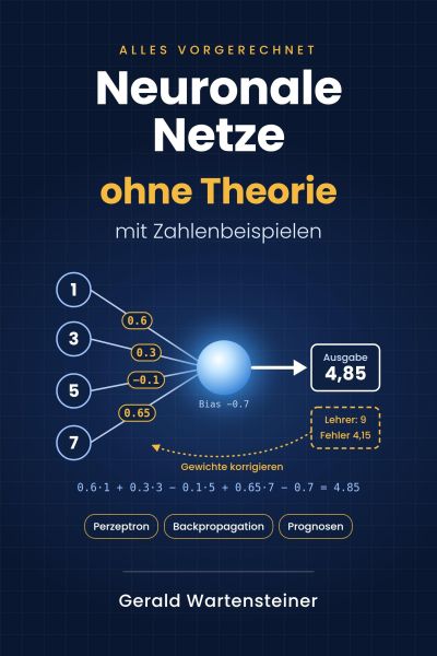 Neuronale Netze ohne Theorie