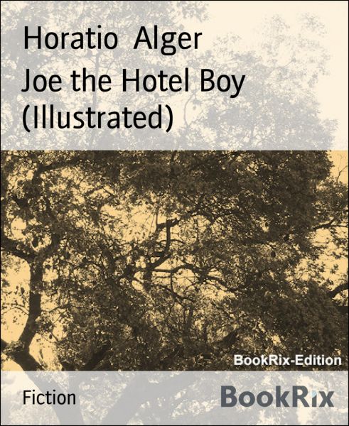 Joe the Hotel Boy (Illustrated)