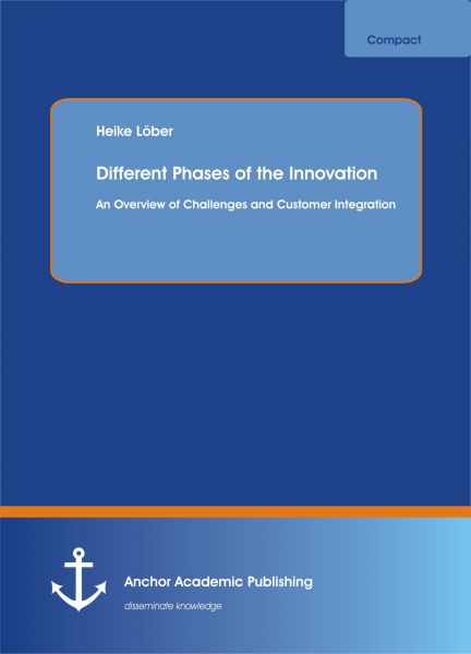 Different Phases of the Innovation Process