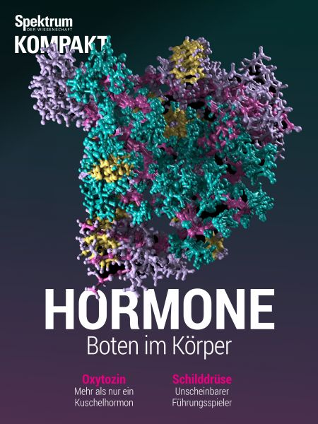 Spektrum Kompakt - Hormone