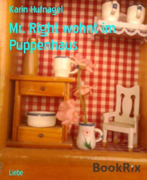 Mr. Right wohnt im Puppenhaus