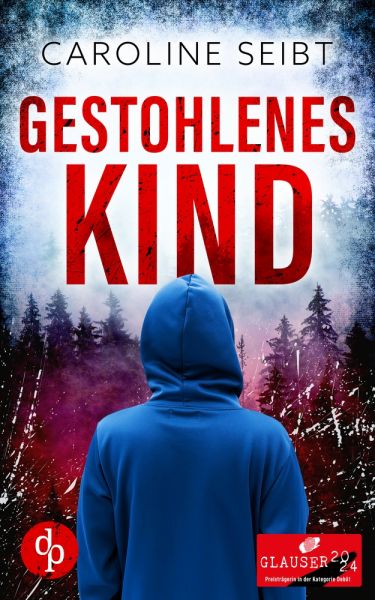 Cover Caroline Seibt: Gestohlenes Kind